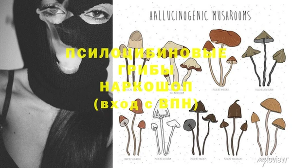 герыч Арсеньев