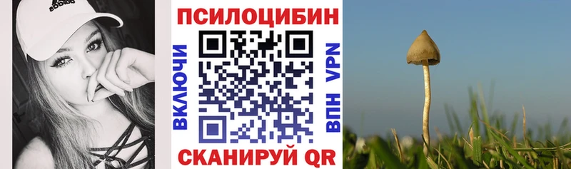 Галлюциногенные грибы прущие грибы  МЕГА ссылки  Ростов 
